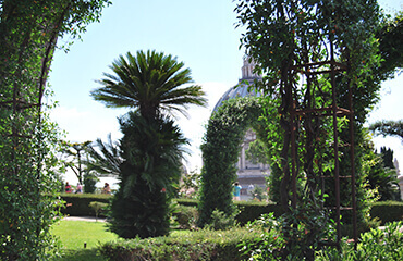 Vatican Gardens Private Tour